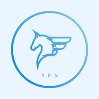 飞马加速器官方下载